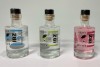 Bild von IBZ PINK Premium Gin (0,2 L) - Familia Marí Mayans